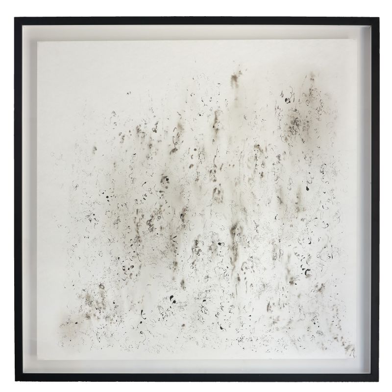 Espace 12.10.20 - a Paintings by Frédérique Nolet de Brauwere